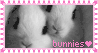 bunnies
